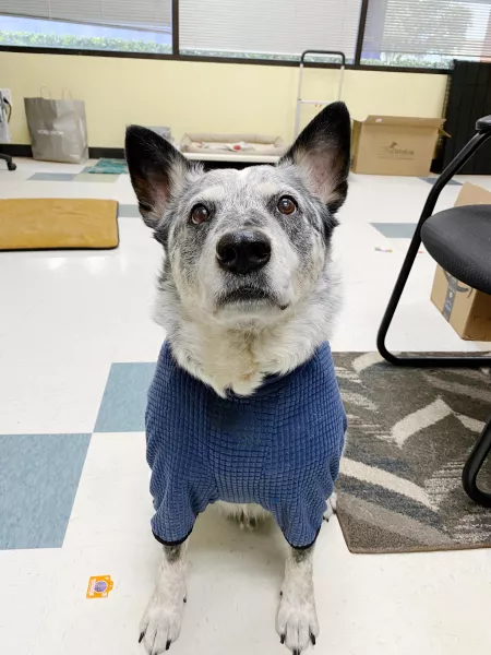 Stay warm, everyone! Stay warm, everyone!