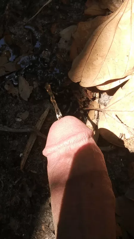 Sunshine & penis pee