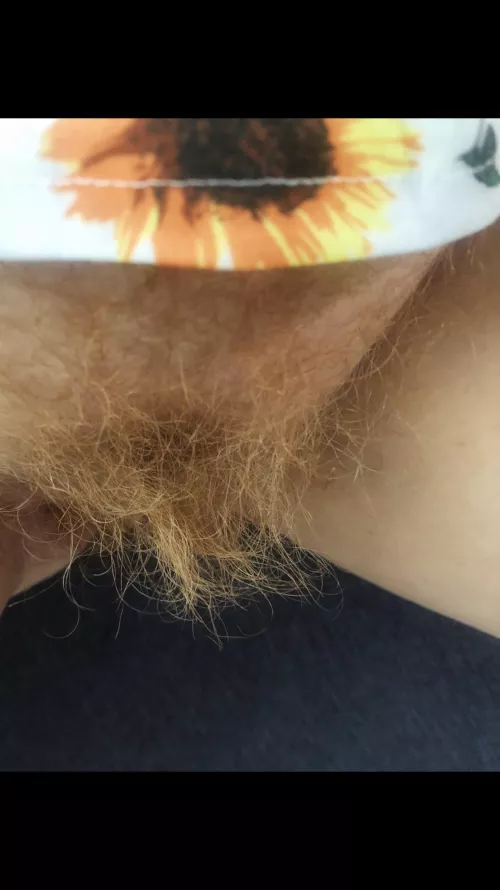 Super hairy ginger cunt