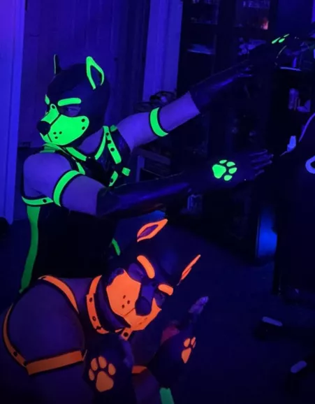 Super Pup Fist-Force Assemble!!