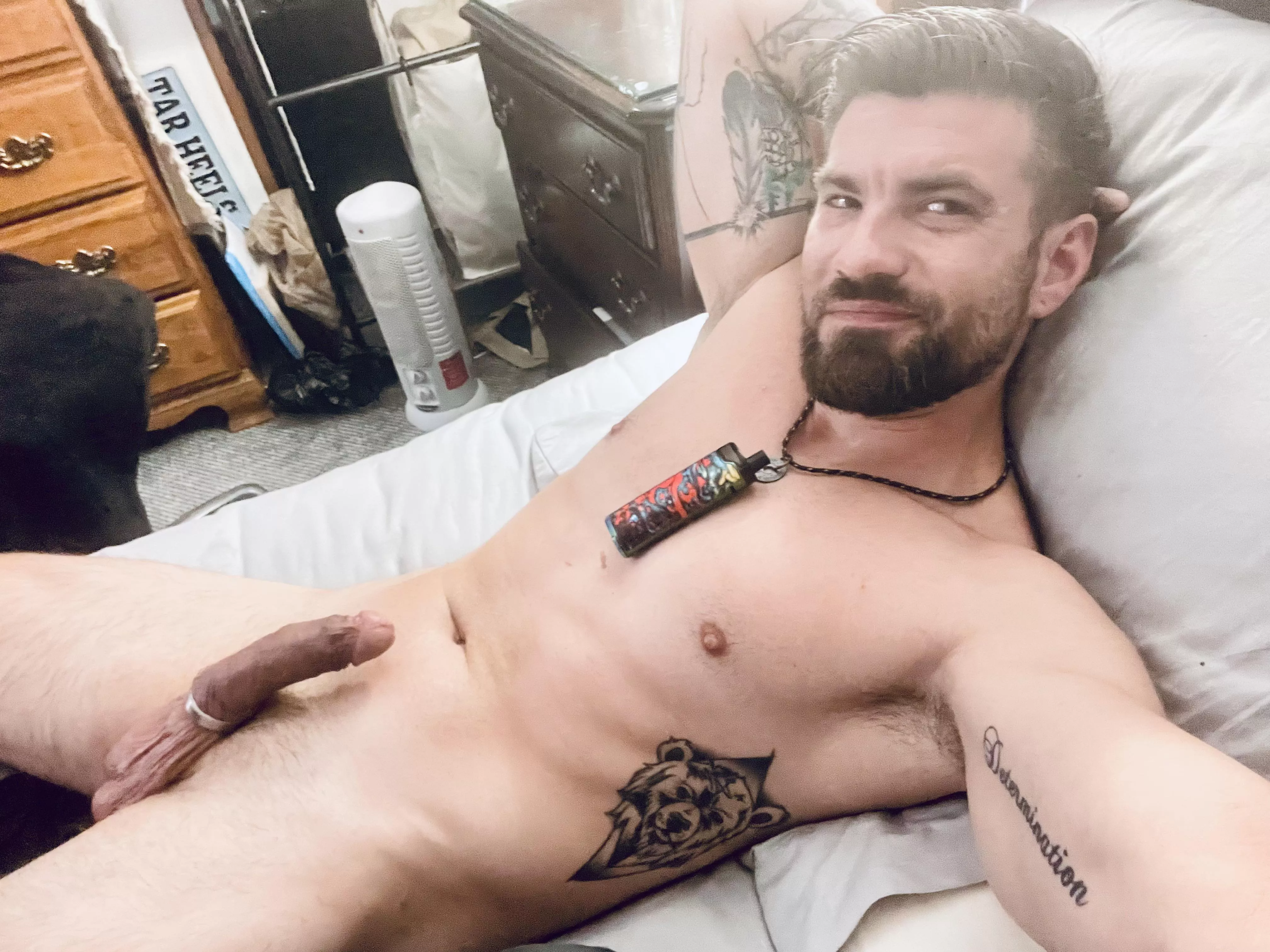 Taking a break from a really hard Humpday, who wants to come cuddle? 🦥