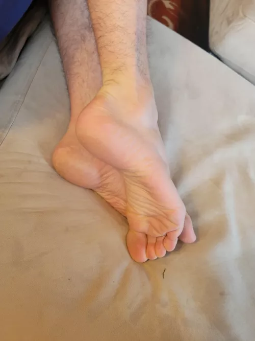 Tell me what you'd like to do with them....