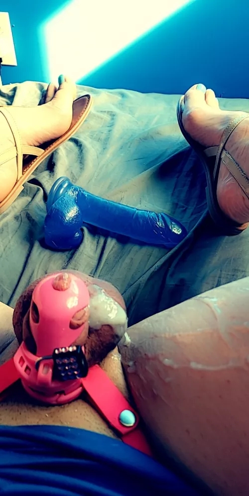 The aftermath of me and my favorite toy 🥴