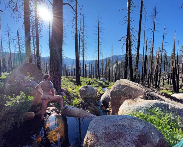 🎶The summer wind, came blowin' in from across the sea…🎶