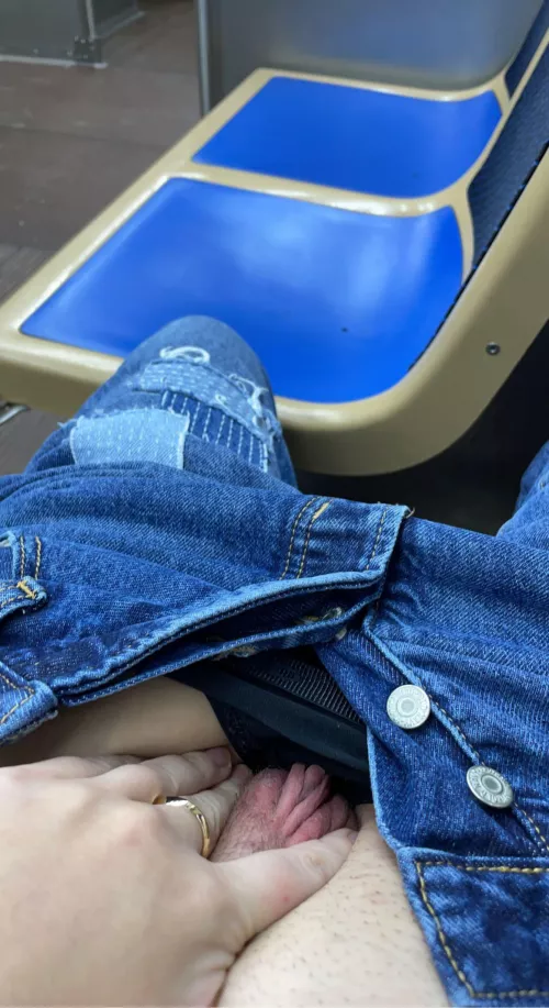 the train isn’t the only thing here for public use