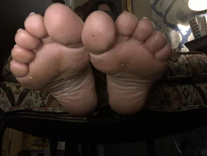 These poor soles seem to have picked up some filth from my wood floor…