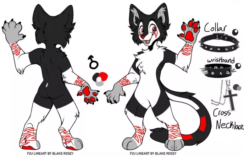 This is my fursona! My cousin took the base and colored it in!