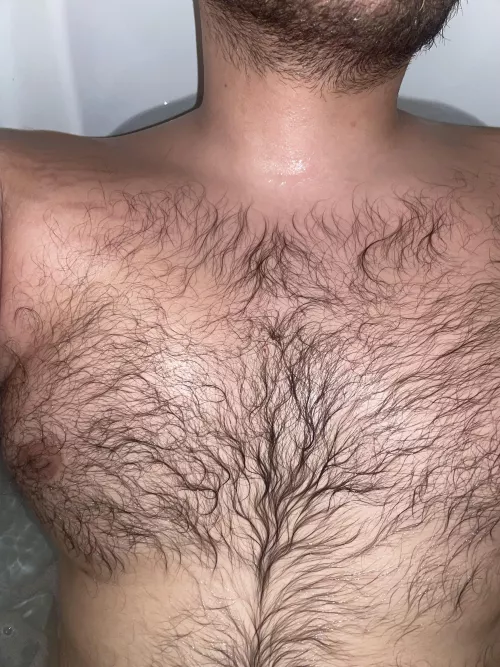 This otter just went swimming🦦