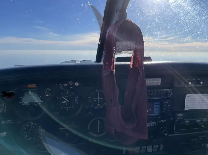 This pair is hangin' around for some reason... Let me know if you want to adopt it 🥰😘