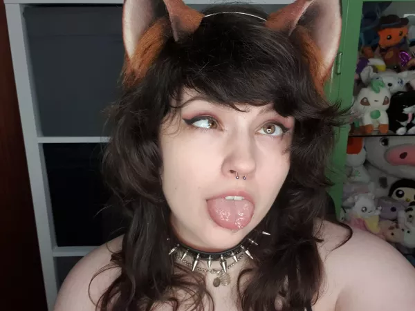 This pup drools, is that a problem?