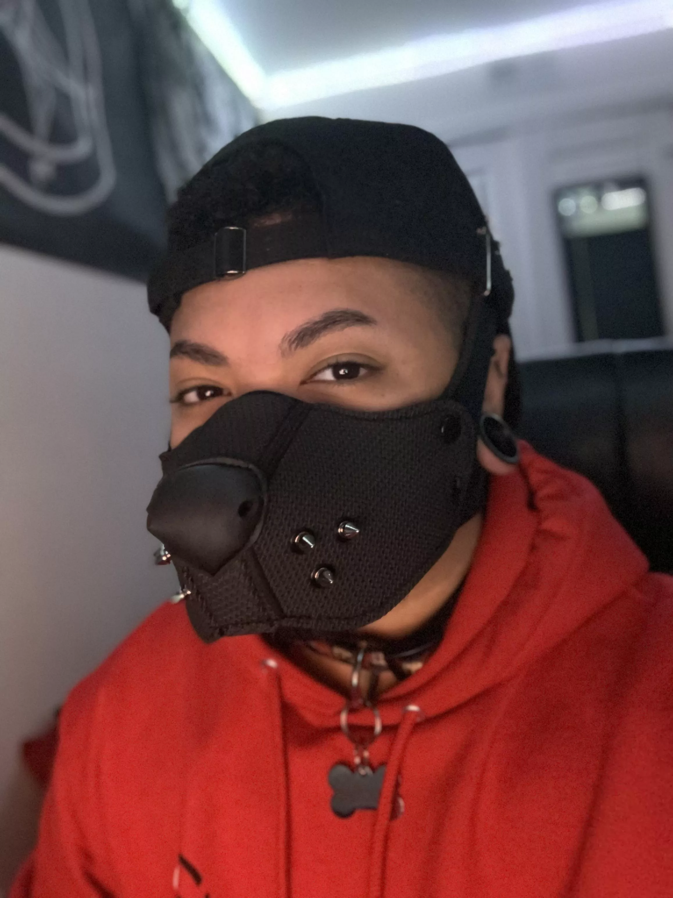 this pups gotta new muzzle 🐶🐾