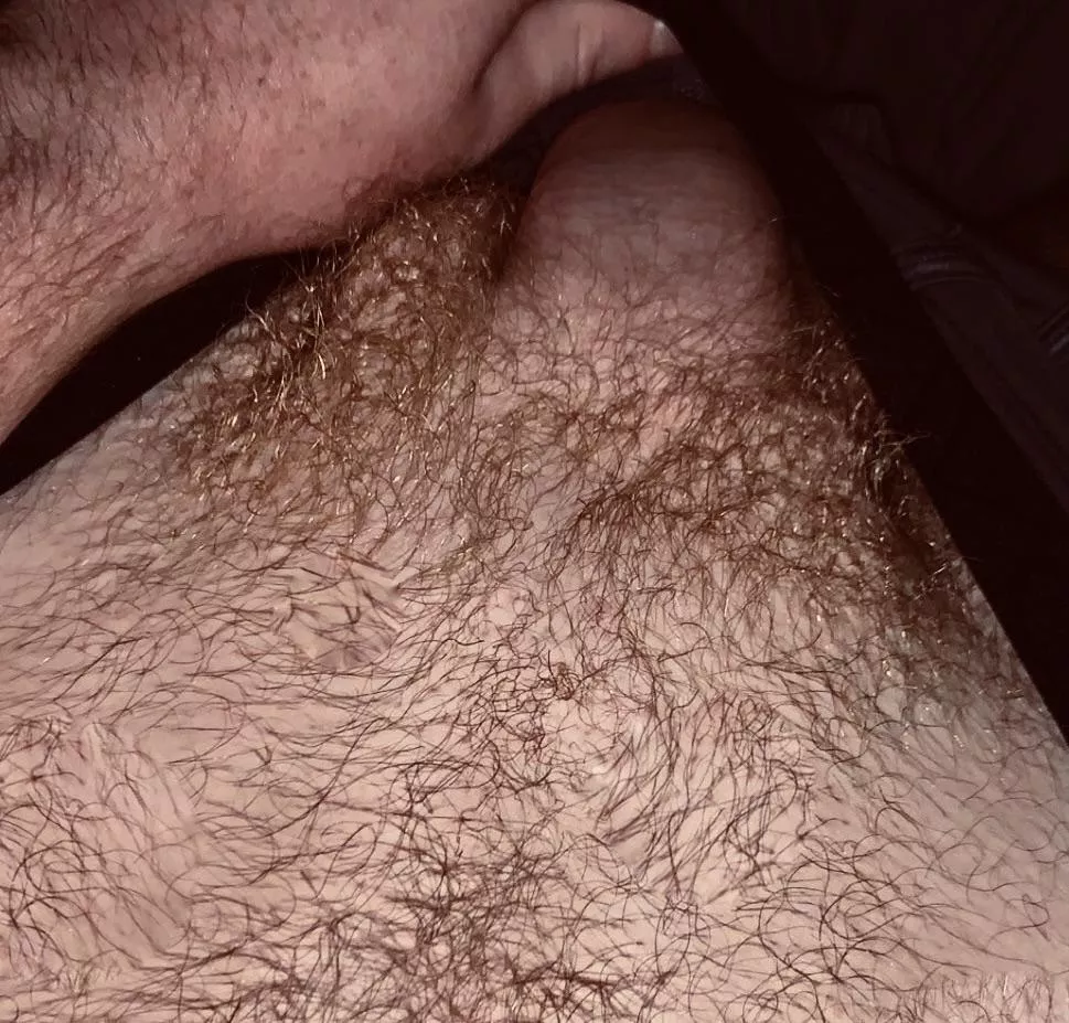 Thought I’d post the bush before I trim it🧔🏻‍♂️ (M20)