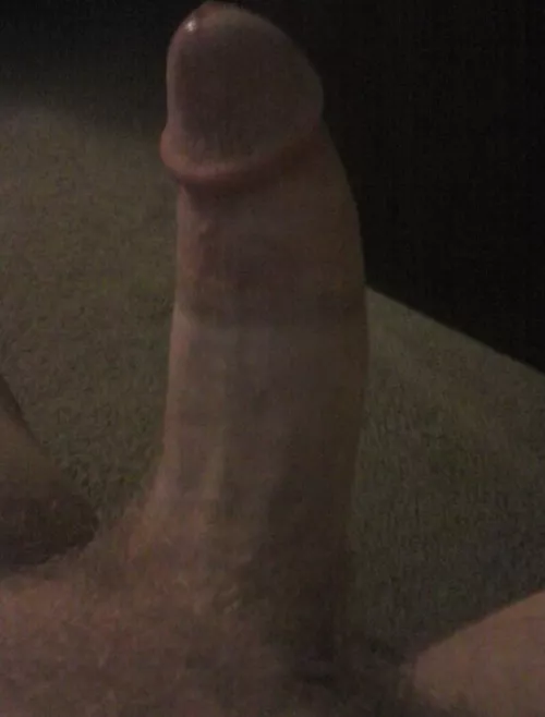 Thought I'd show off my hard dick