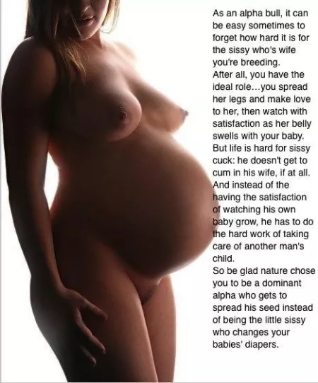 Thoughts from an alpha