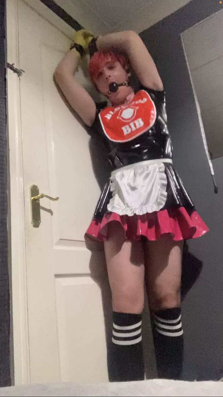 Tied up, caged, plugged, gagged, and in a humiliating outfit, humiliate and caption this little sissy maid!