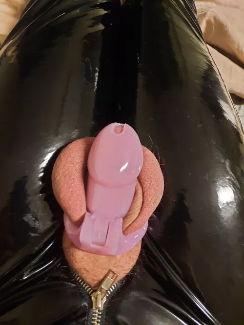 Trans girl in cage. Think its mabye to small or my balls are just to thick and my foreskin aswell 😅