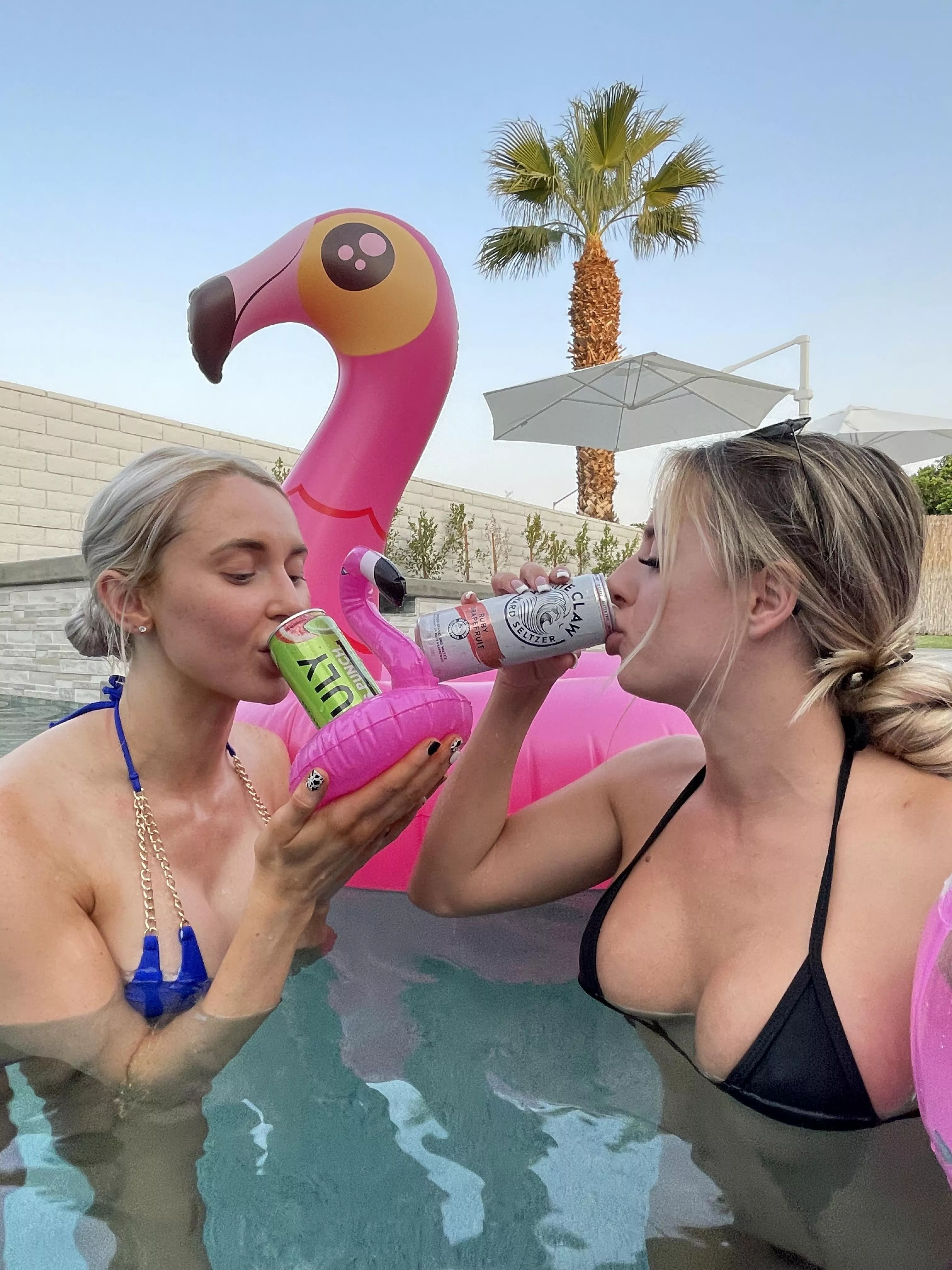 Truly or white claw? 😋