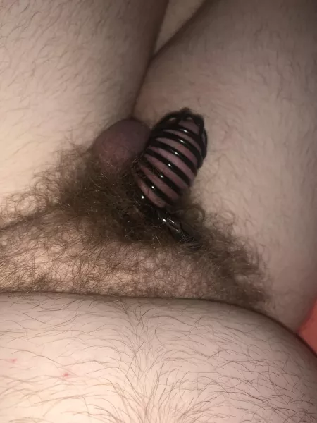 Trying to get used to having the cage on for longer periods of time 🐽