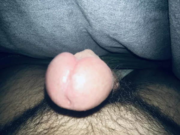 Up close and personal