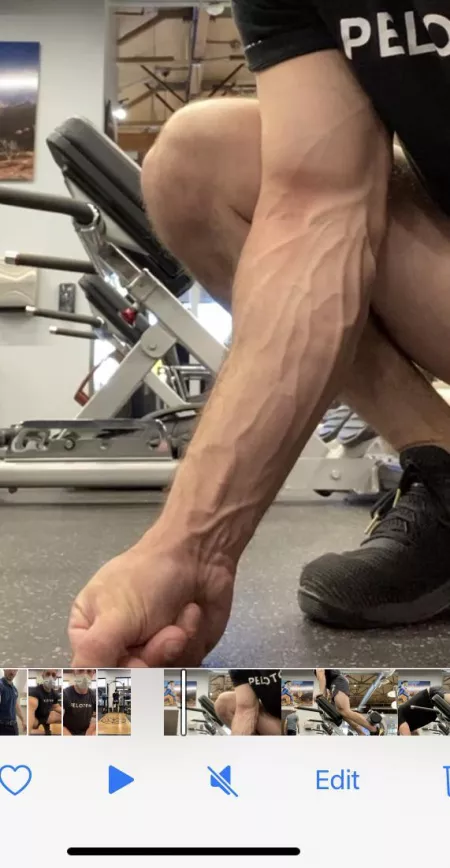 Vascular this morning