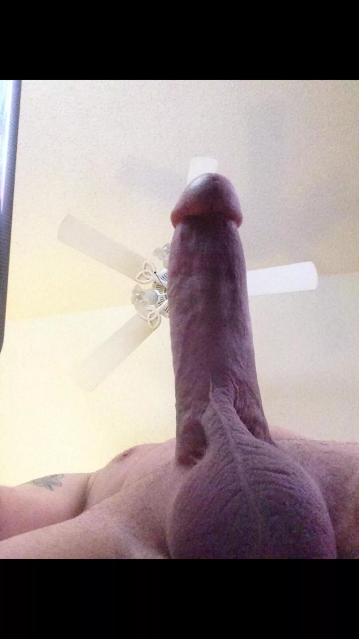 View from below.