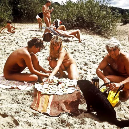 Vintage: Picnic on the beach. Food's not for you, dog!