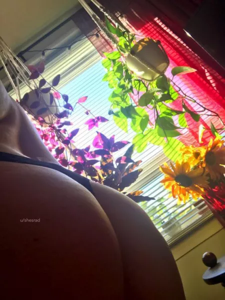 wake up and smell the roses with me 🌹