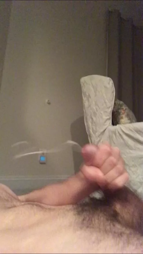 Want to see the video this screenshot came from? 💦😈