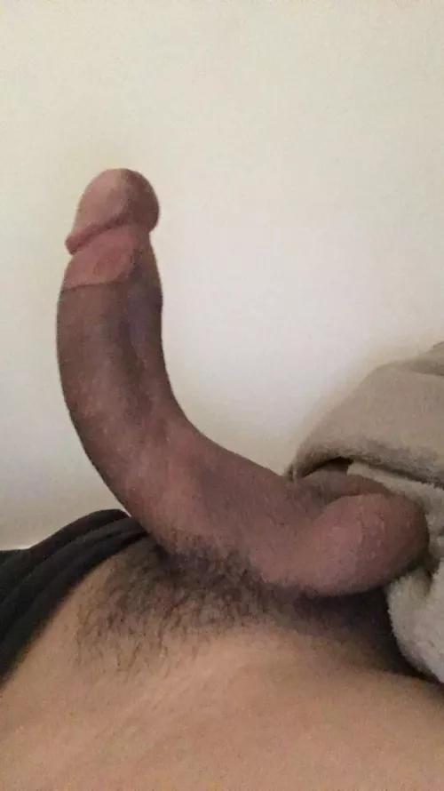 What do you think of my pubes?😈