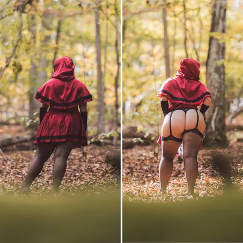 What the Big Bad Wolf was actually after…