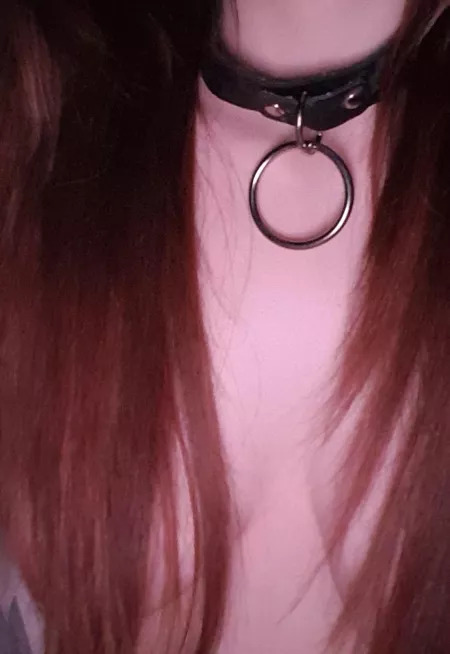 Whats better than a hairbra? A collar and a hairbra