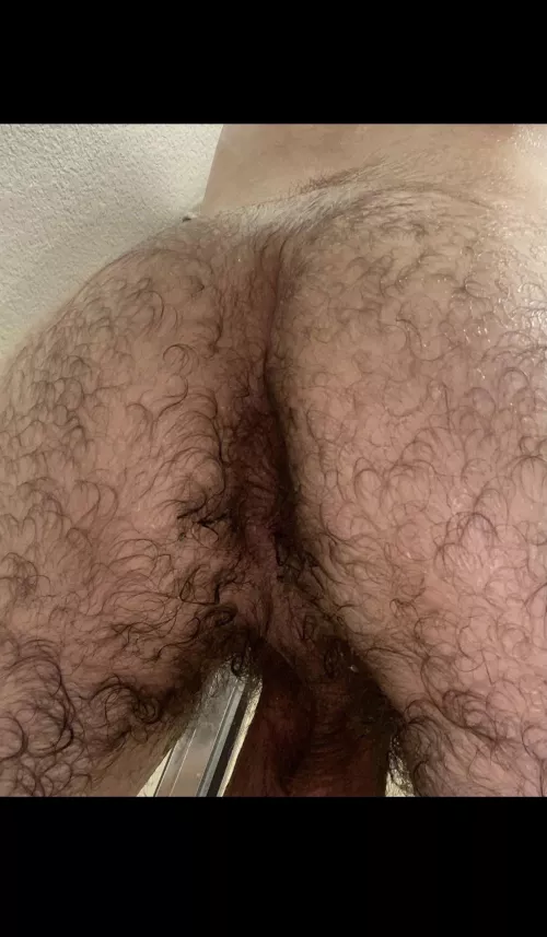 What’s the verdict on this hairy ass ?