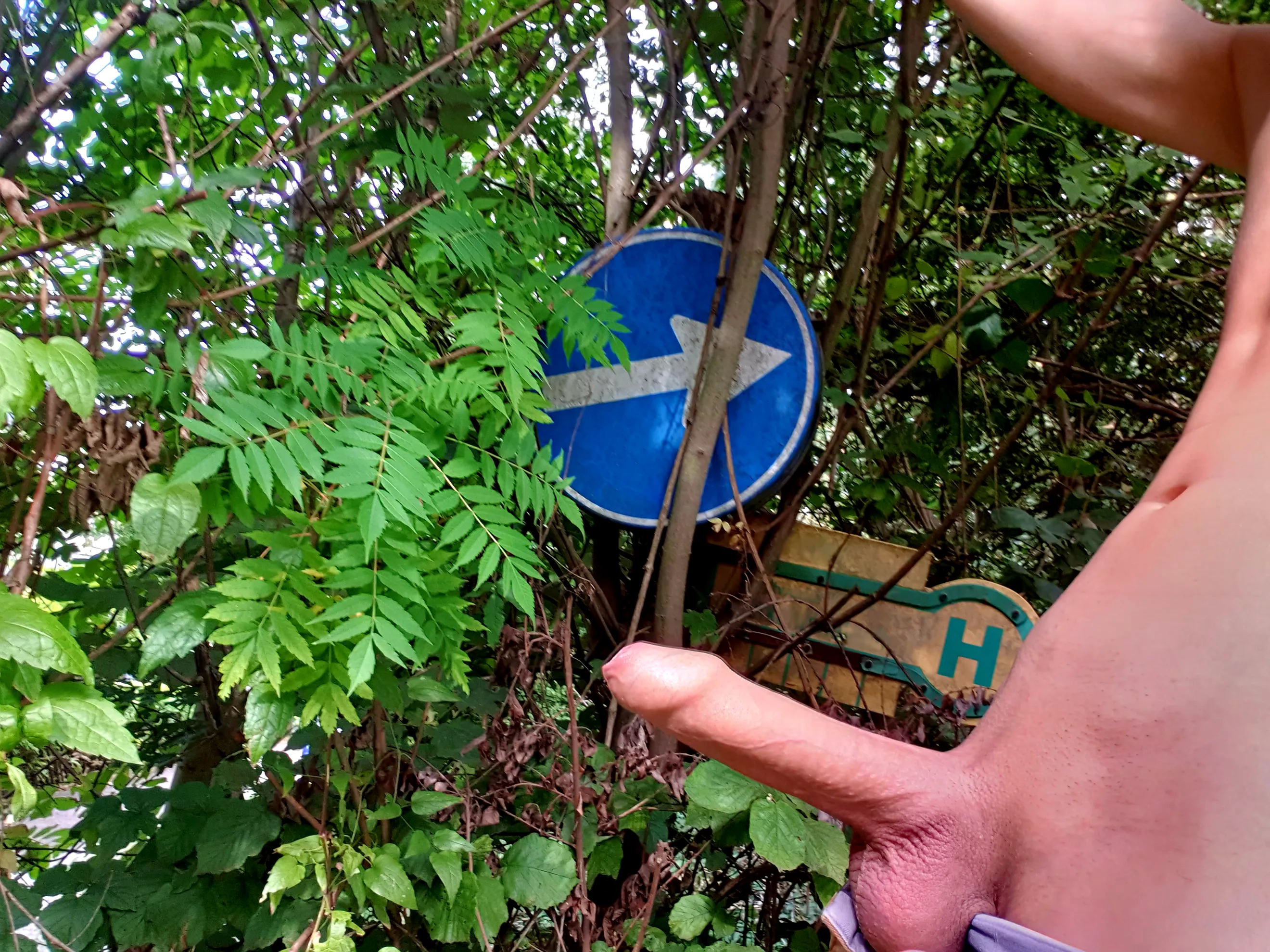Which arrow to follow