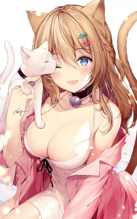 Which collar would you prefer? Which collar would you prefer?