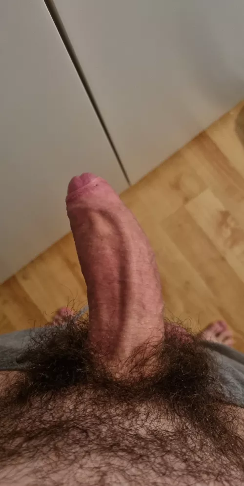Who likes it really hairy down there