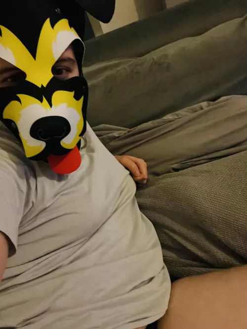 Who wants to give this pup some belly rubs?