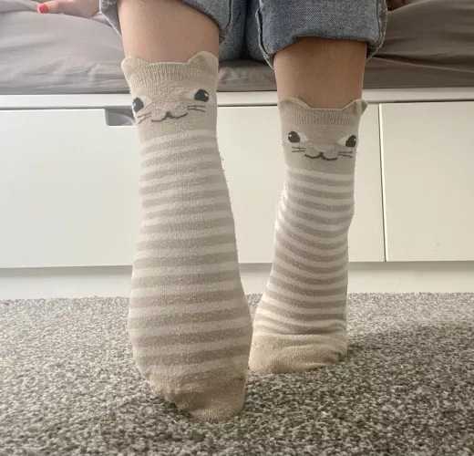 Who wants to see my … socks🐱