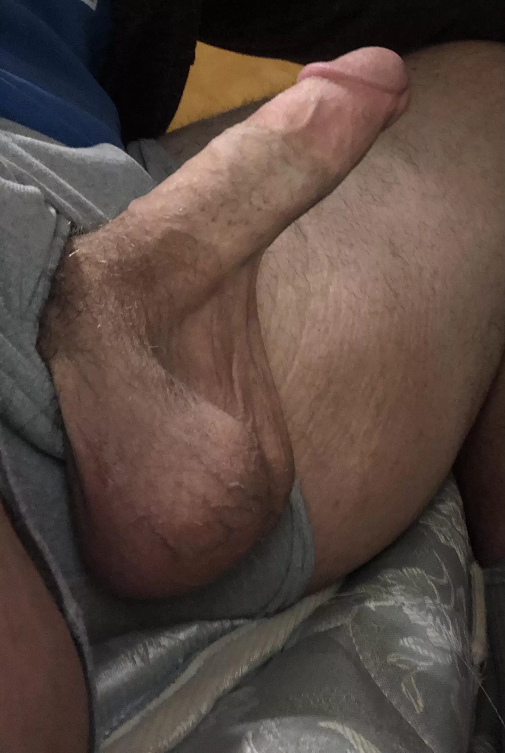 Who’s horny?