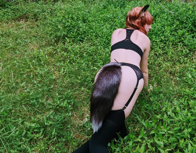 Wild fox friendo, what's your guilty pleasure? House hunters is mine, And asmr lmao