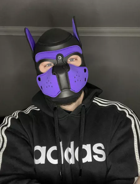 Woof! New Pup in town. Would love to connect and meet many ire pups from all over the world. I do have Instagram too if you want to follow me there. @Pup.spencer ~ can’t wait to hear from you all and see your hoods. Wruff
