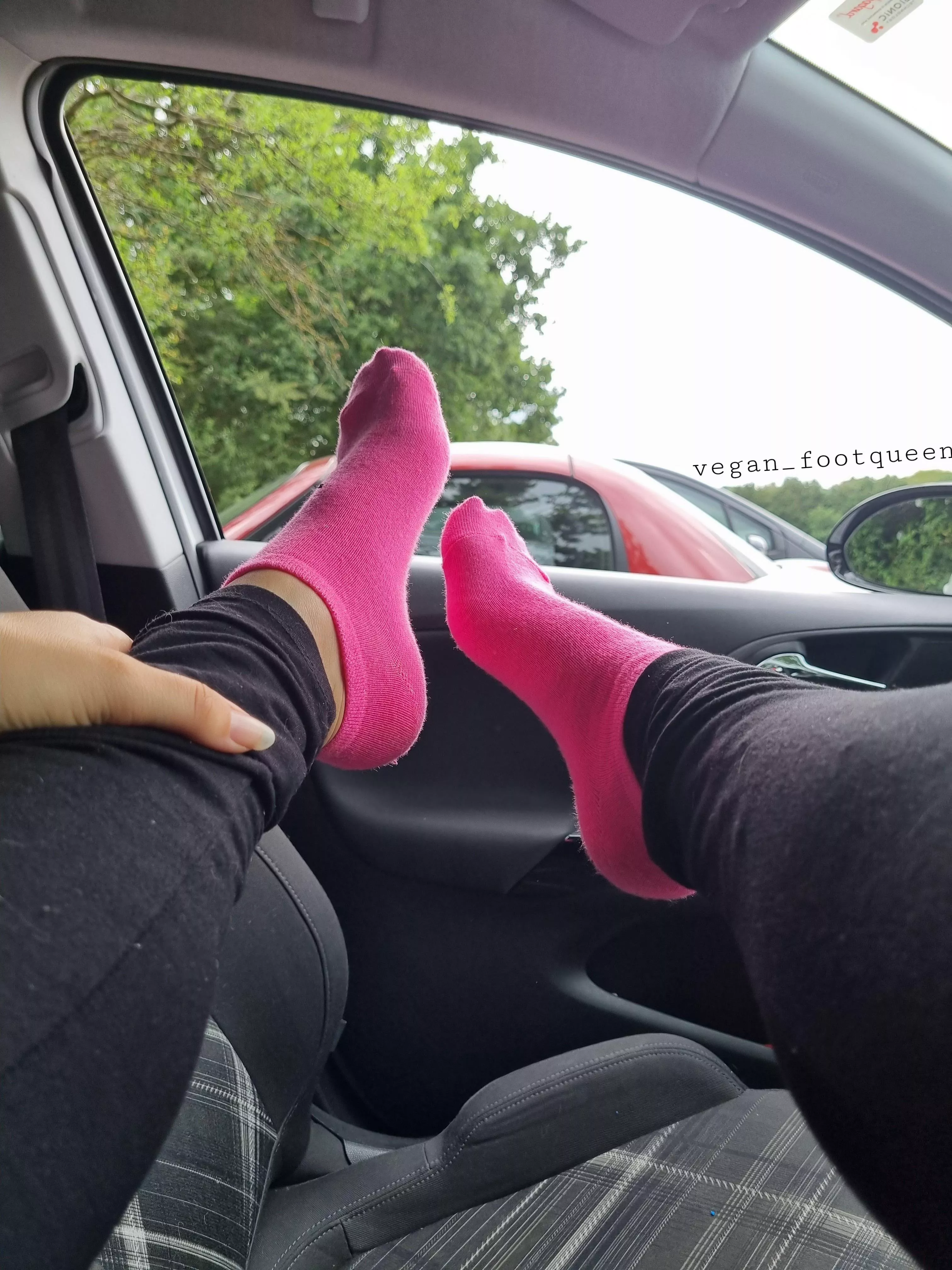 Would you be my passenger? 🚗