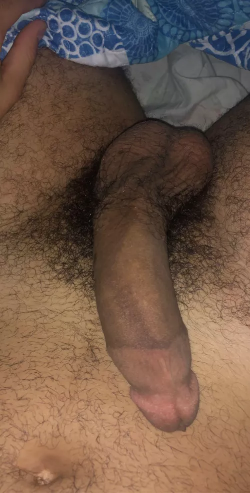 Would you lick my hairy balls?