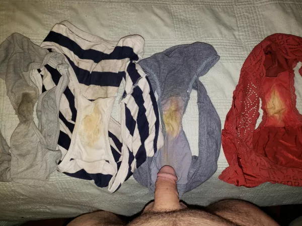 Yet more fun with wife's dirty panties