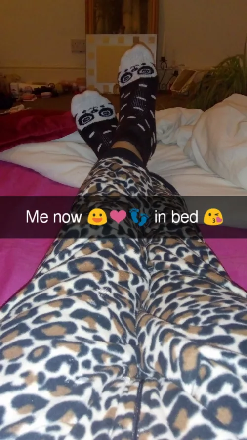 Your Feminine Alpha ♀️🐆♂️🦁💅👣🔺⚡❤️